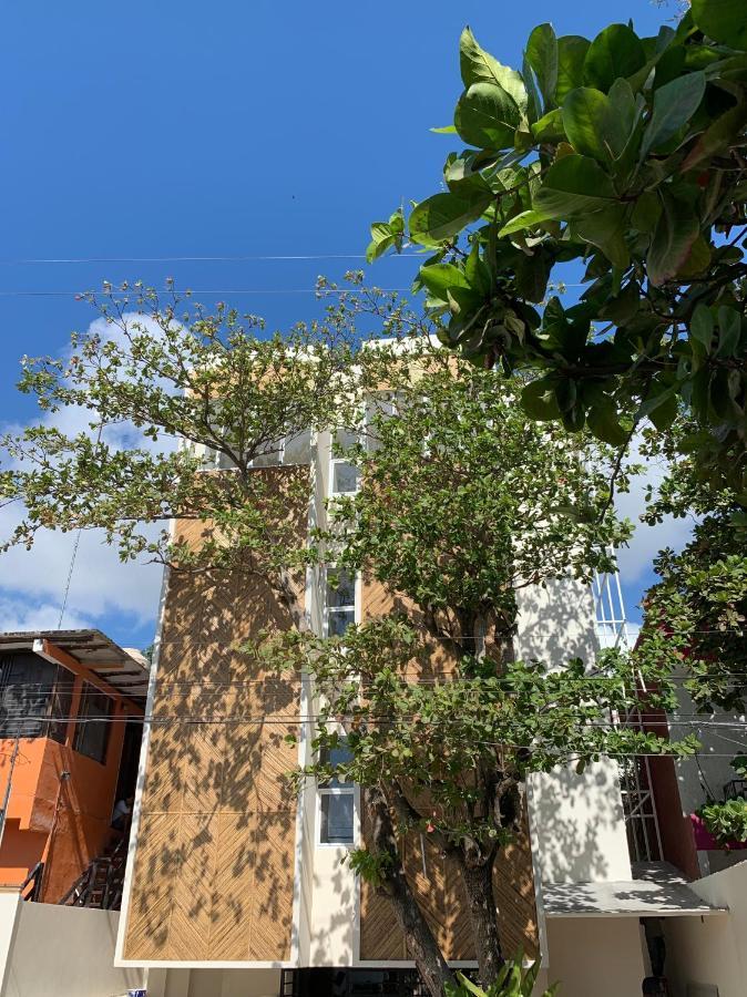Oostel Smart Hostel - Tulum Pueblo (Adults Only) Luaran gambar